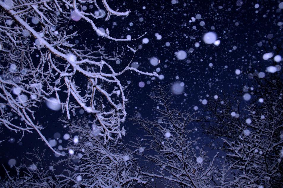 飞雪辅助网怎么用,让您轻松掌握高效技巧与资源