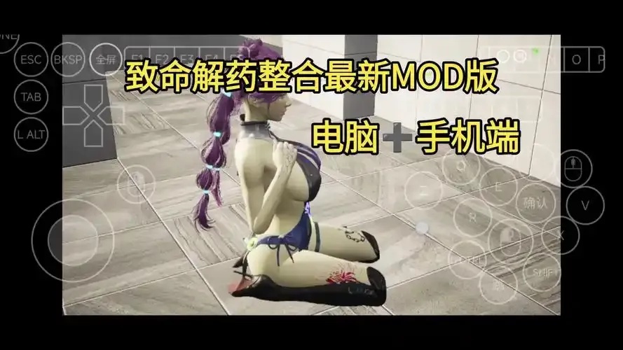 辅助mod整合:游戏中的高效整合与技巧全解析