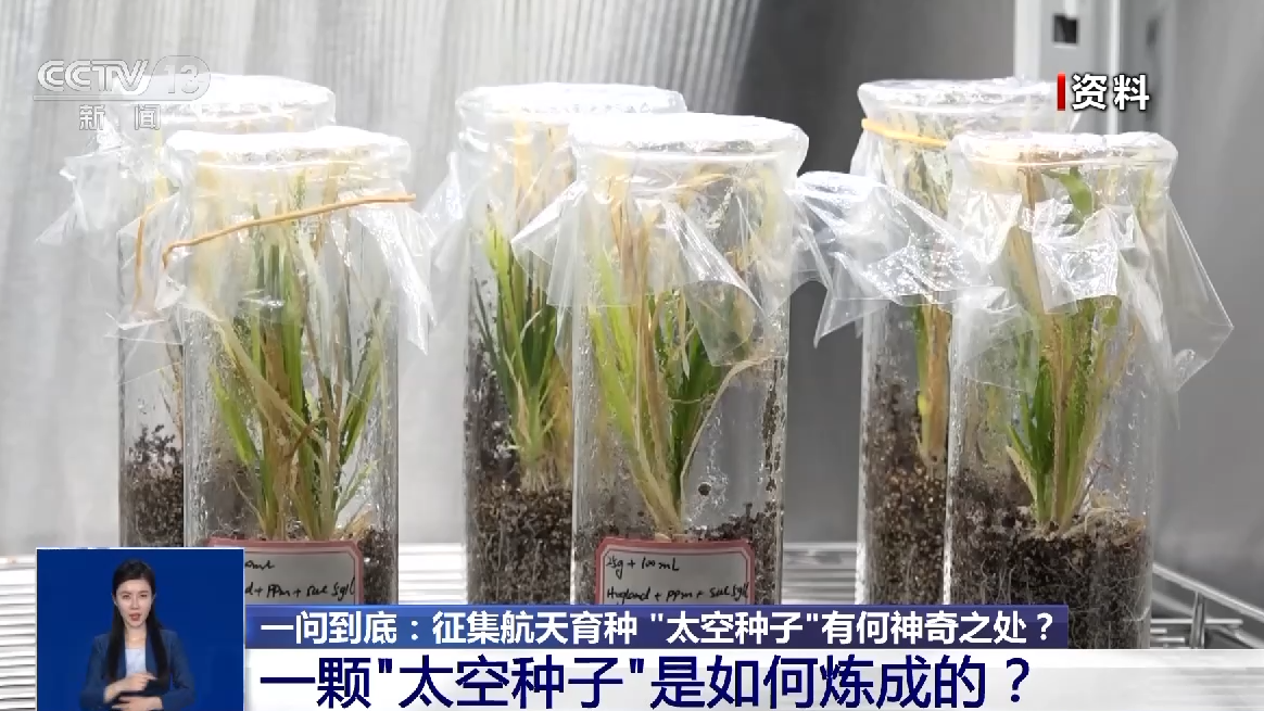 辅助发卡网货源站有哪些?如何选择靠谱的发卡网货源站?