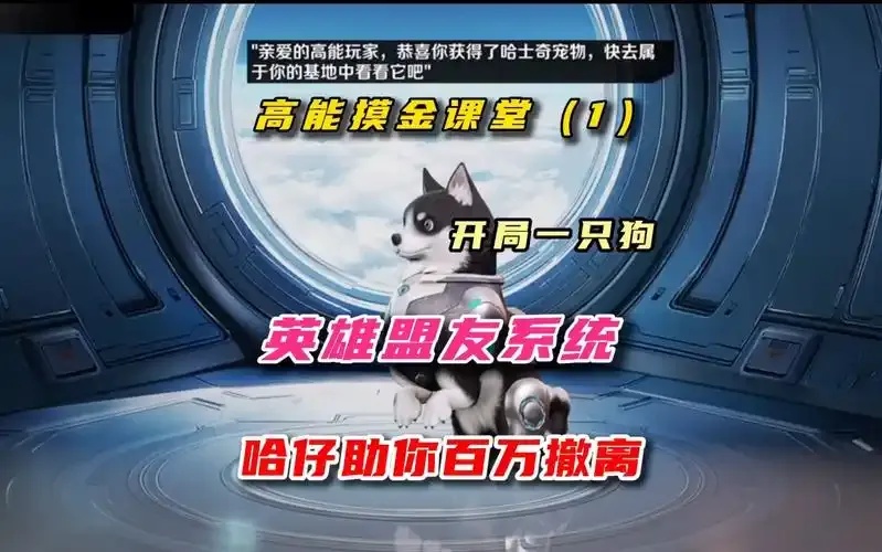 高能英雄鸡宝贝竟被风暴奇袭!