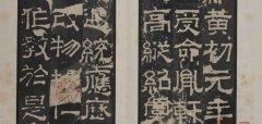 高能英雄狼蛛直装v11体验版