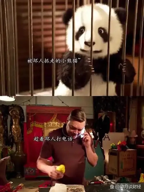 高能英雄小熊猫公益行动全解析