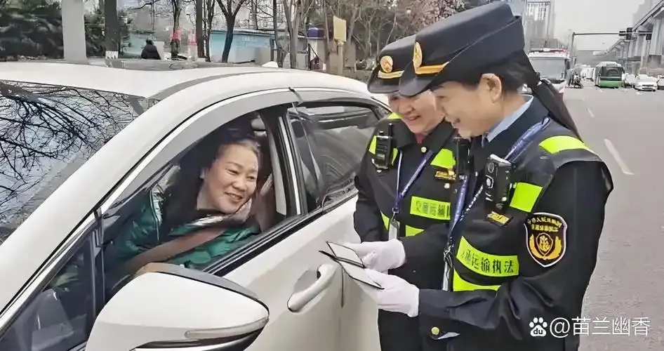高效辅助人员指南,提升职场协作与效率