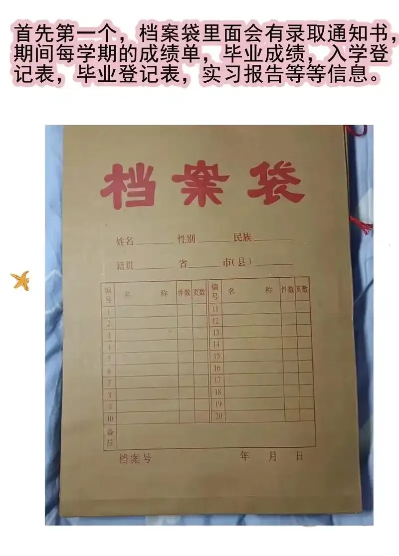个人与企业必看:档案用途全解析