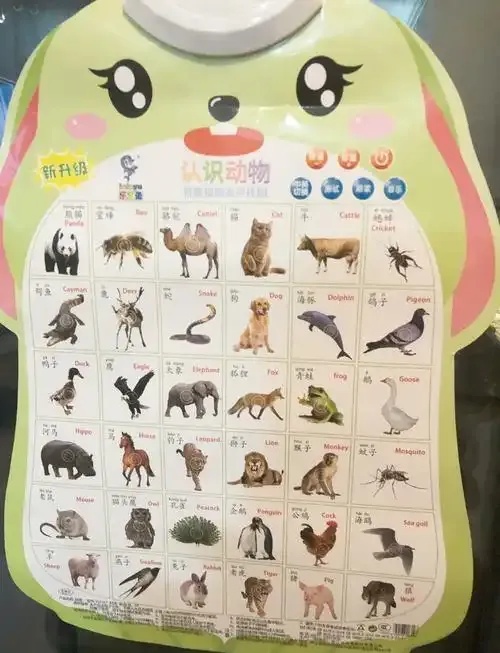 挂图_2