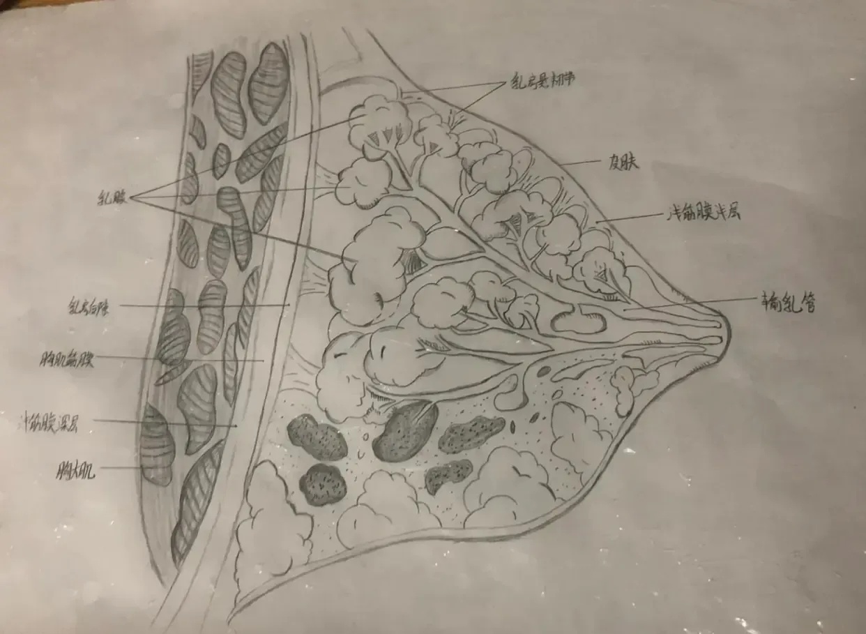 光遇直装挂详解