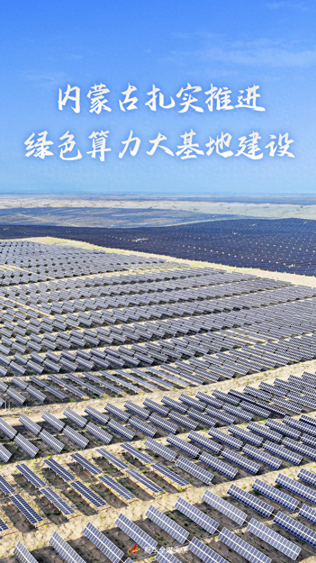 航海王热血航线官网入口-官方网站地址与入口