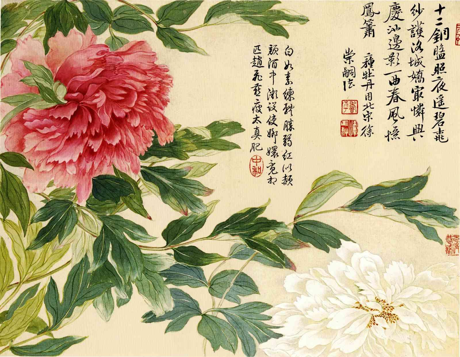 航海王热血航线刷金果辅助器:揭秘快速获取秘籍!