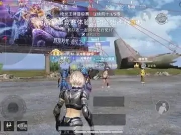 和平Elite透视挂网站免费使用指南