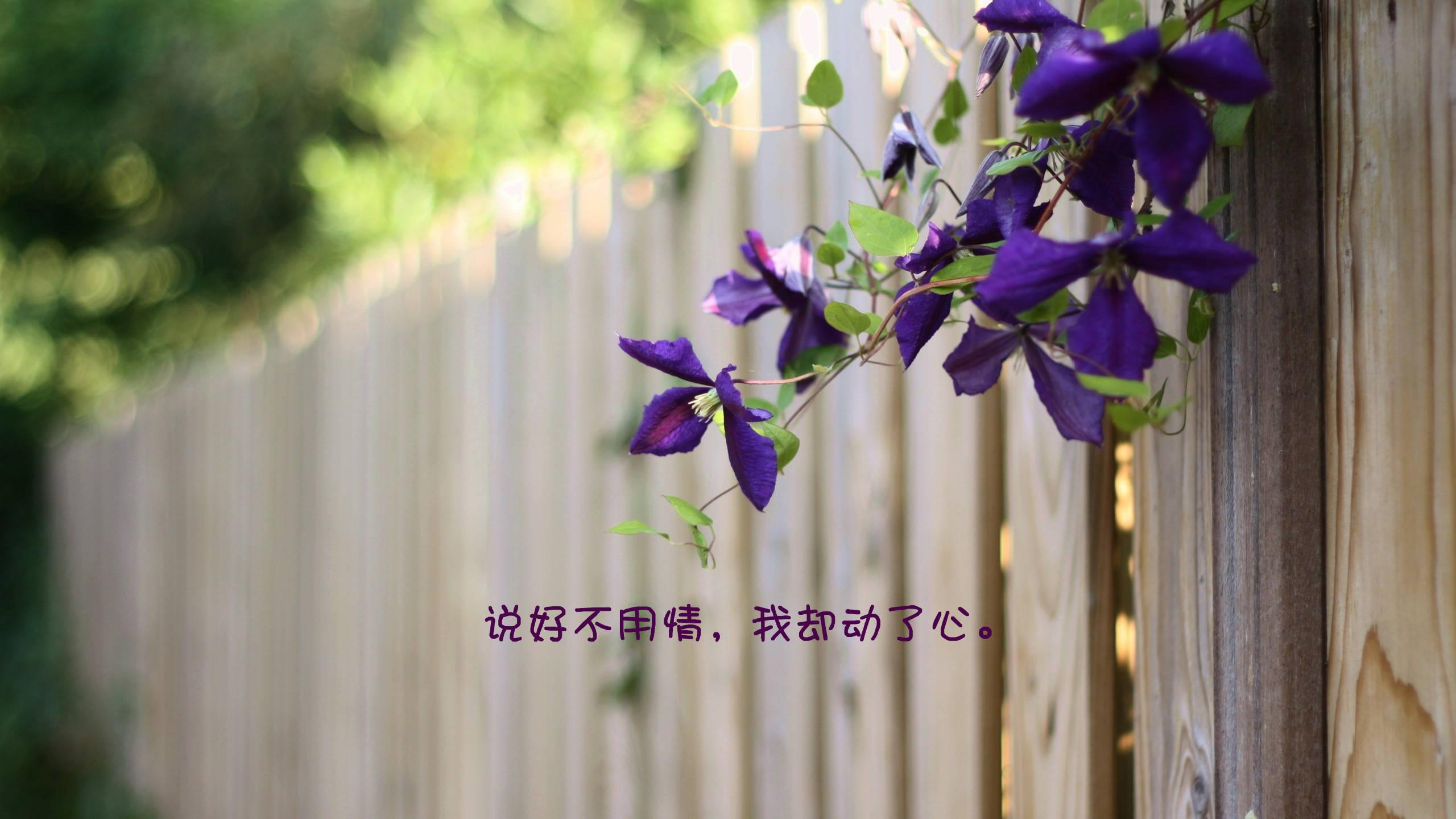 和平精英辅助工具大全:你绝对想不到的竟藏...