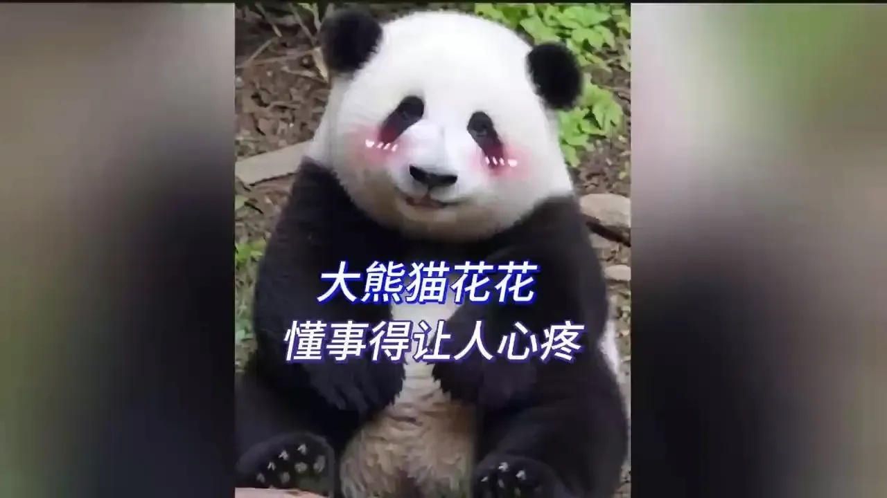 和平精英辅助购买网站推荐,安全可靠资源汇总