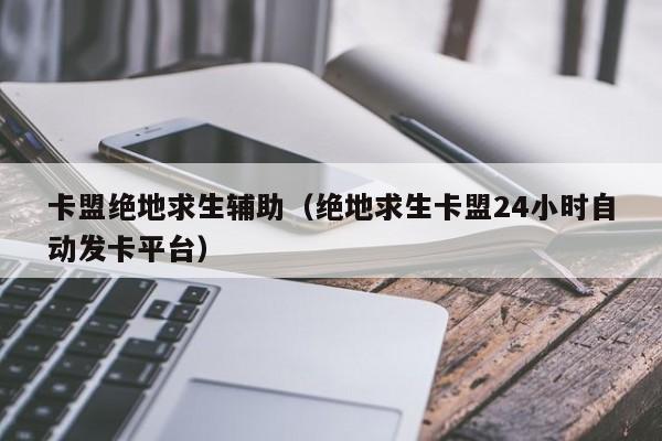 和平精英辅助卡盟24小时自动发卡平台