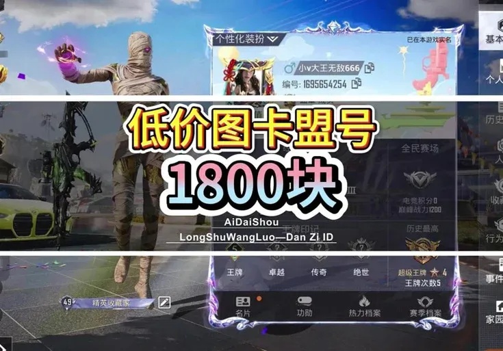 和平精英辅助卡盟发卡网全解析