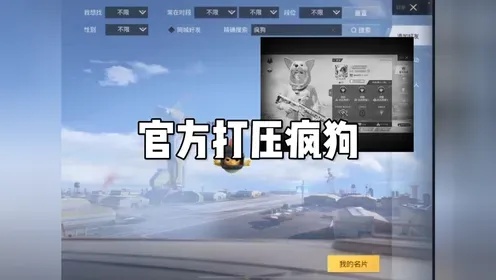 和平精英辅助卡盟解析与风险警示