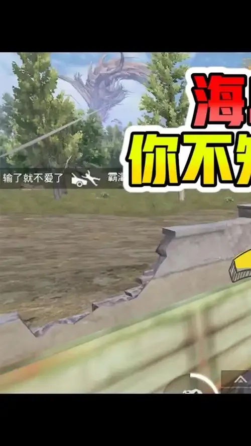 和平精英苟分点视频全网最全攻略