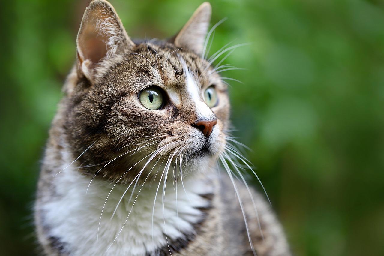 和平精英货源站全面解析