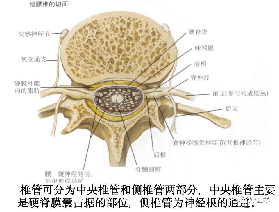 和平精英科技开挂