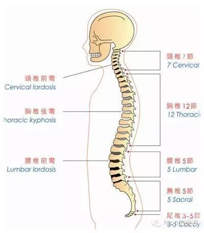 和平精英科技开挂
