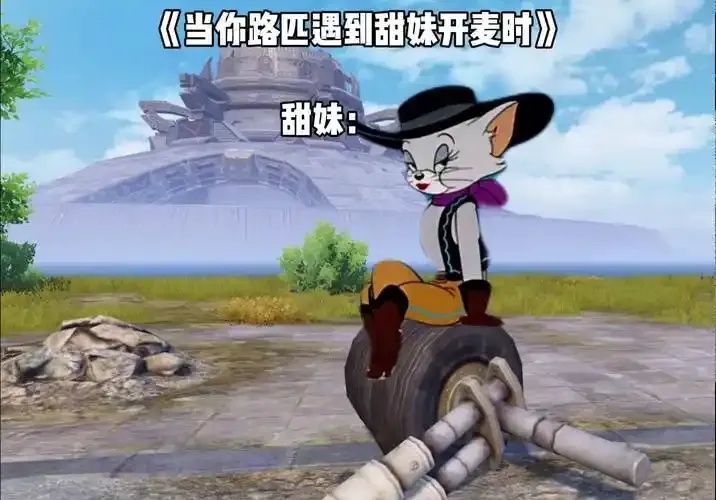 和平精英科技七猫,掌握这些实用技巧