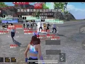 和平精英免费透视自瞄辅助软件下载免费下载