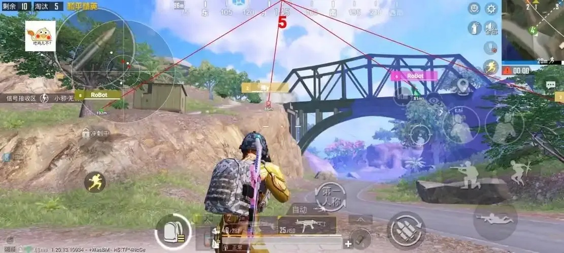 和平精英容器直装怎么玩