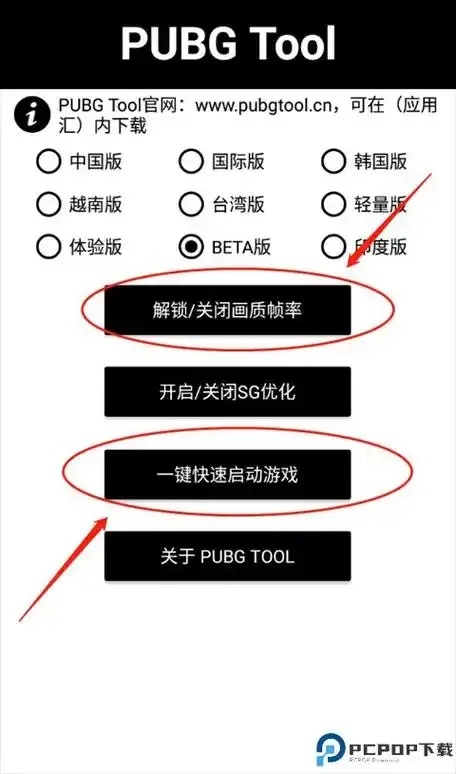 和平精英透视辅助器哪个好用?警惕违规风险,避坑指南大揭秘!