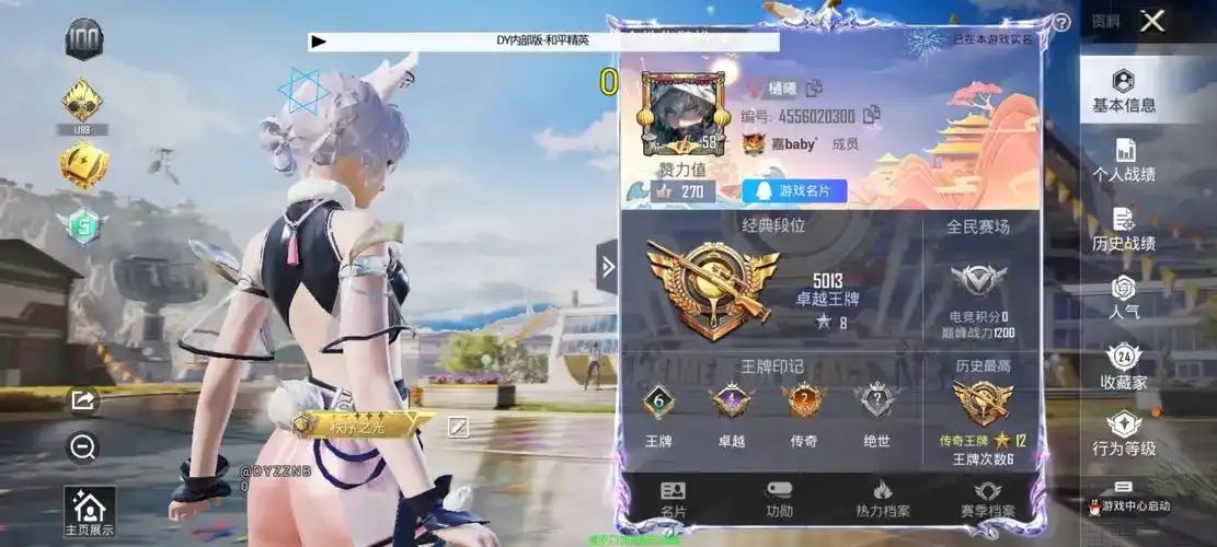 和平精英幺蓝辅助官网