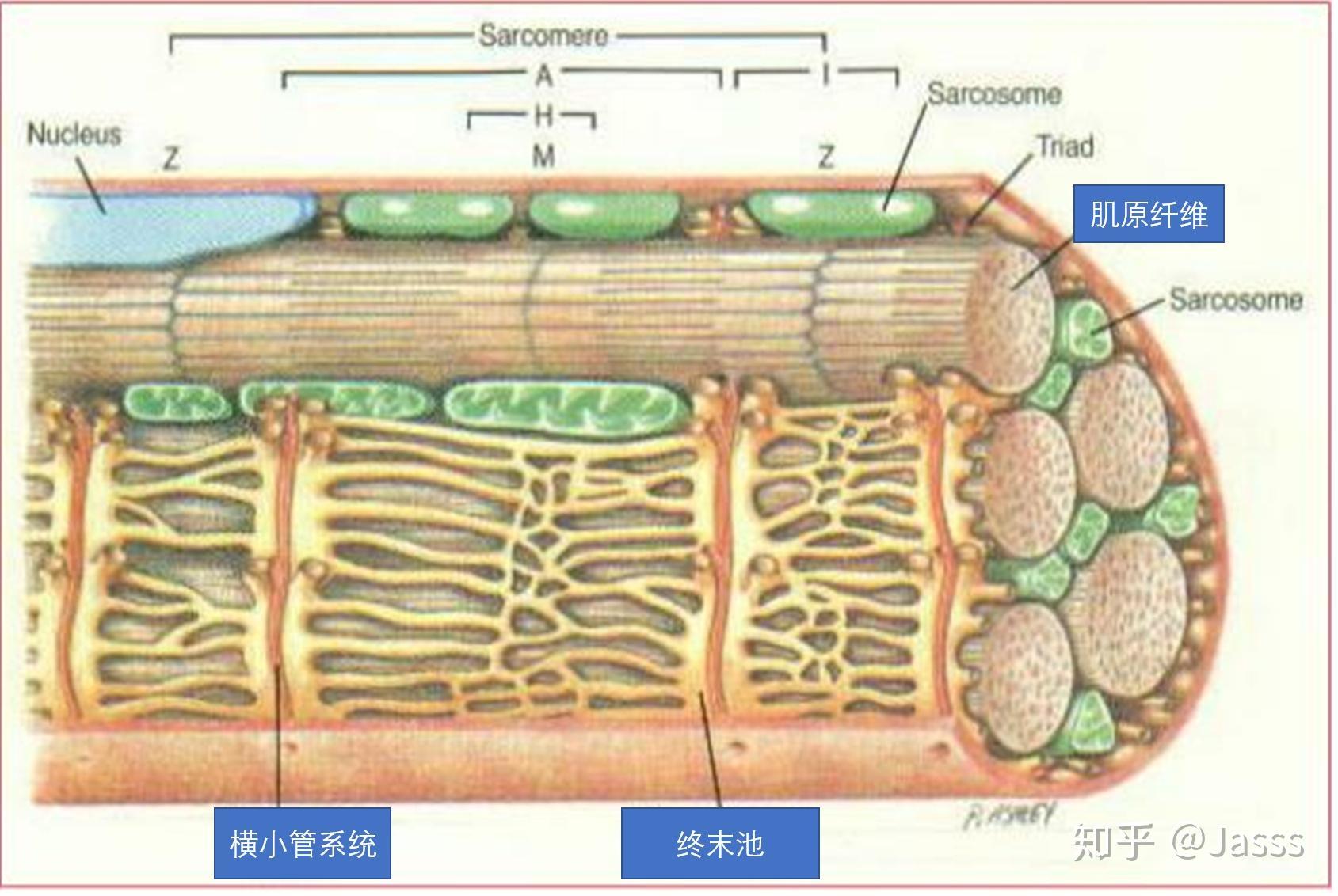 黑神话悟空开挂:揭秘作弊背后的惊人真相