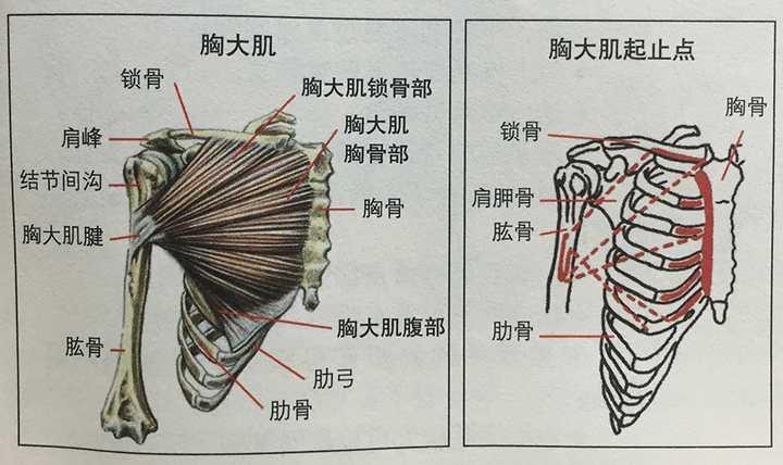 黑域撤离科技