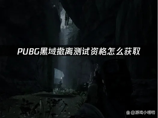 黑域方法:禁忌秘术,暗网背后的生存法则