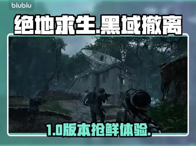 黑域怎么用?详细步骤与实用指南