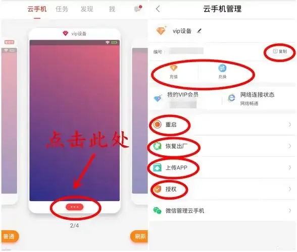 红手指脚本怎么开始运行_2