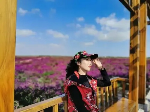 花海直装