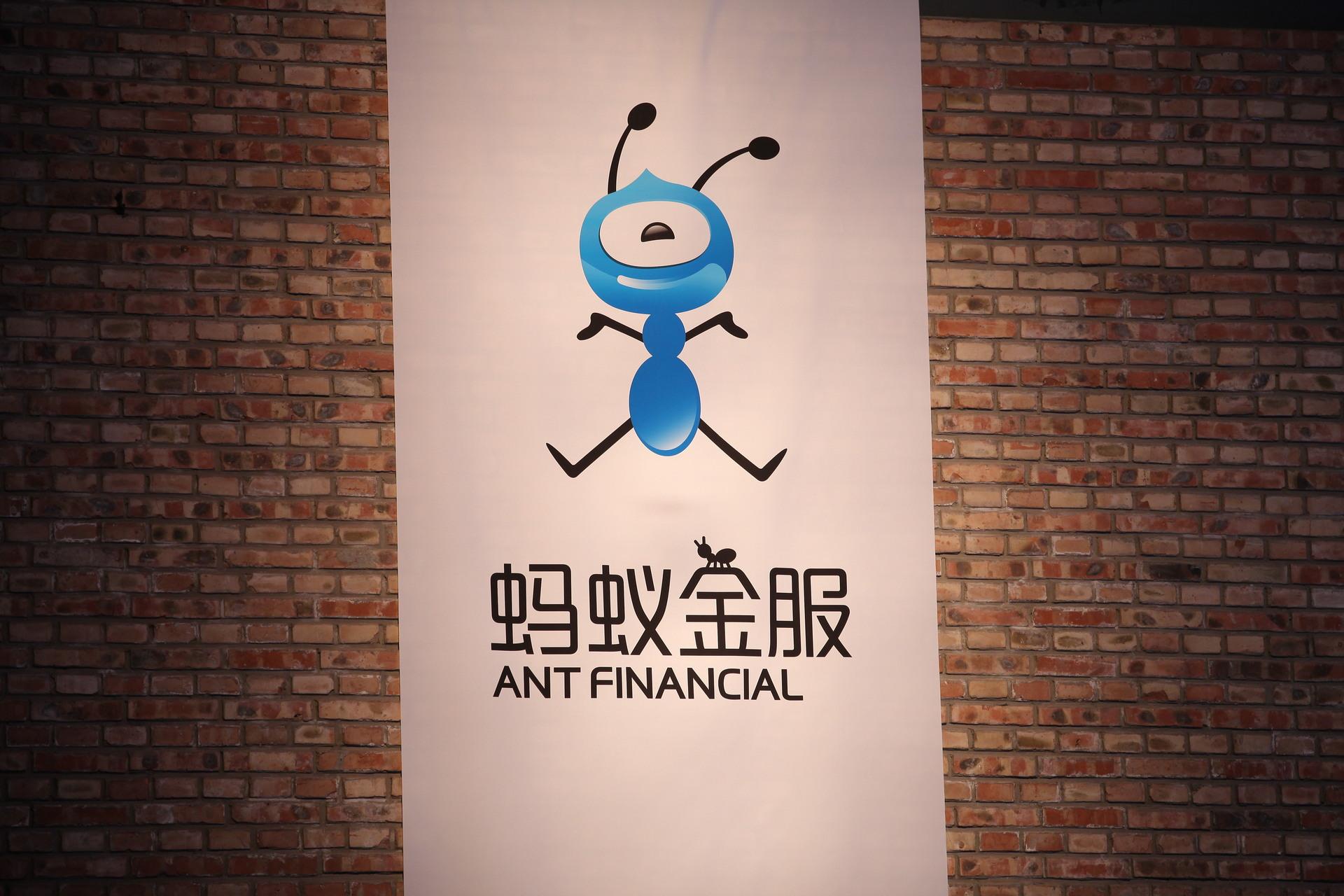 华夏灯火辅助器外挂免费版