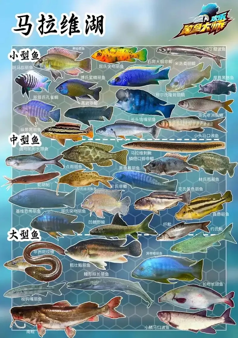 欢乐钓鱼大师脚本下载:专业玩家推荐