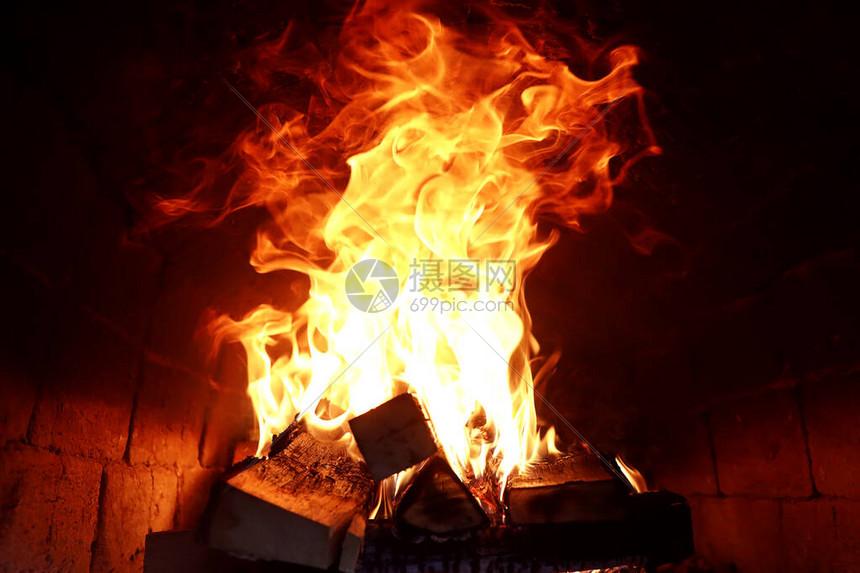 火焰鸟开挂免费下载