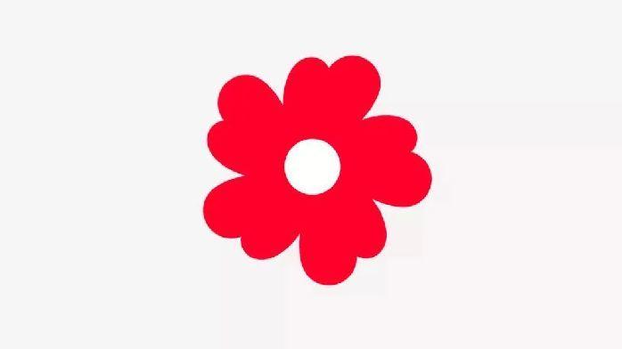 火影忍者公益小红花