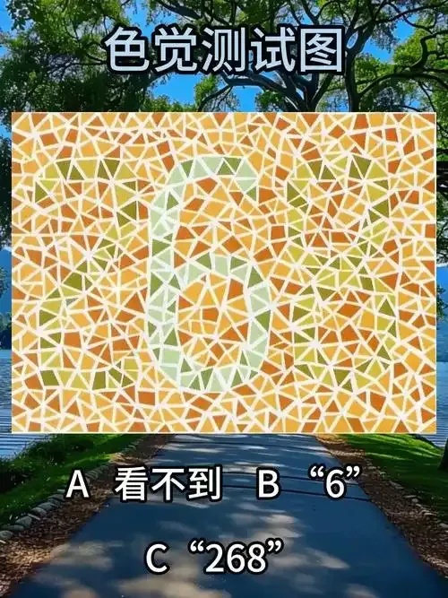 火影忍者眼力测试:挑战你的忍者智商!