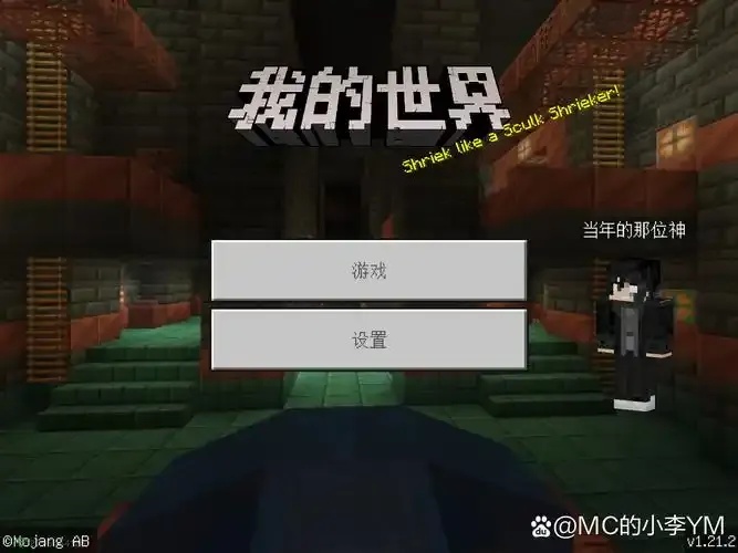 解决我的世界手机版卡网,优化网络设置与游戏体验