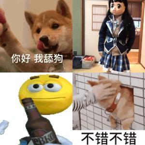 绿梦时空之声手游探秘：深度评测