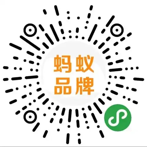 蚂蚁24小时在线下单平台，安全便捷服务随叫随到！
