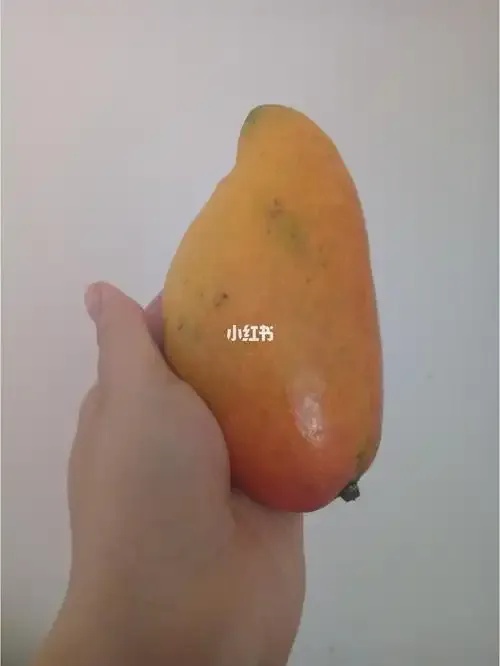 芒果扫码发卡网全面介绍