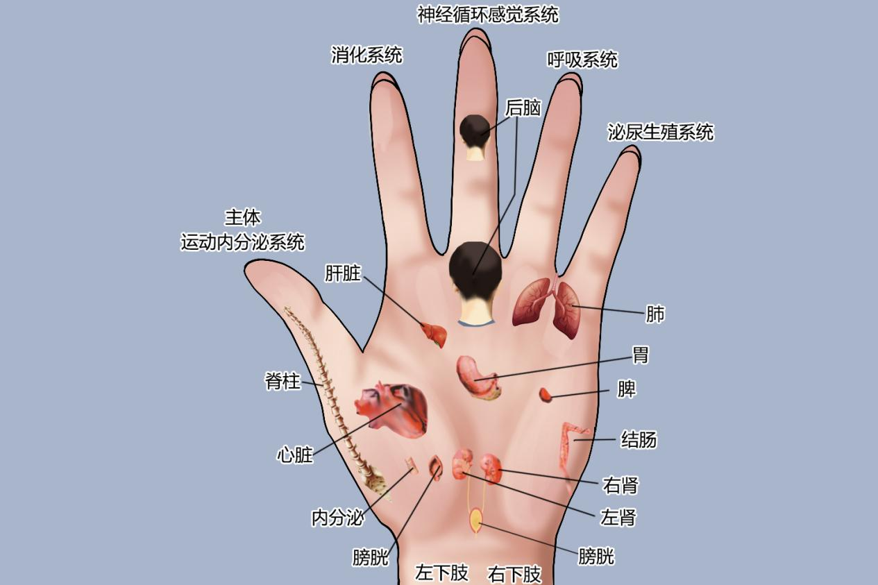 喵斯快跑v6新版本惊喜来袭！