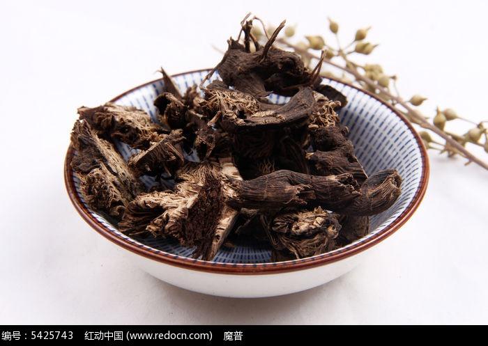 明日之后外挂网址2024年最新免费分享