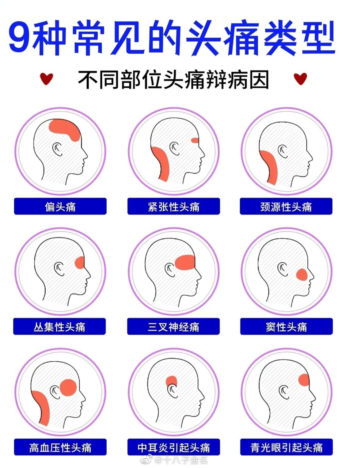 明日之后有没有破解版：真相让你震惊！