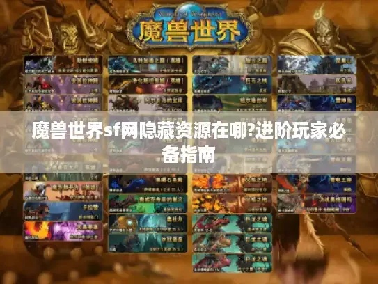 魔兽世界sf用的挂机工具使用指南