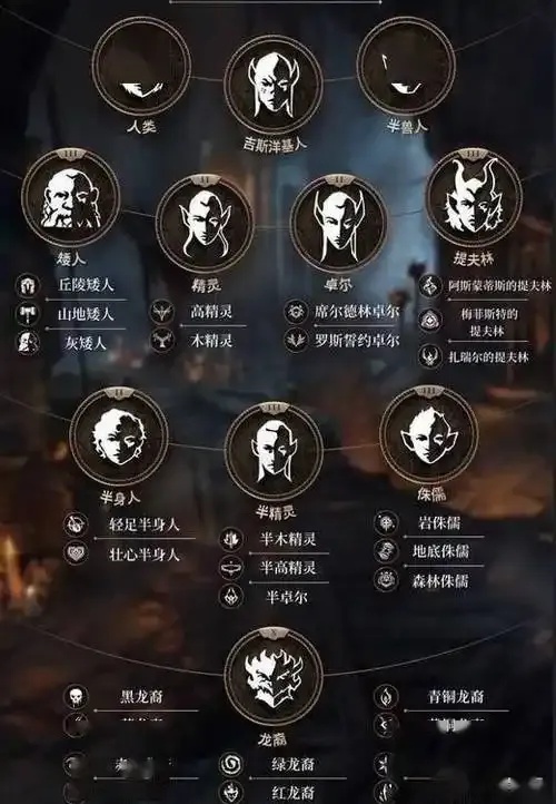 魔兽世界种族大全详细指南：完整解析与介绍