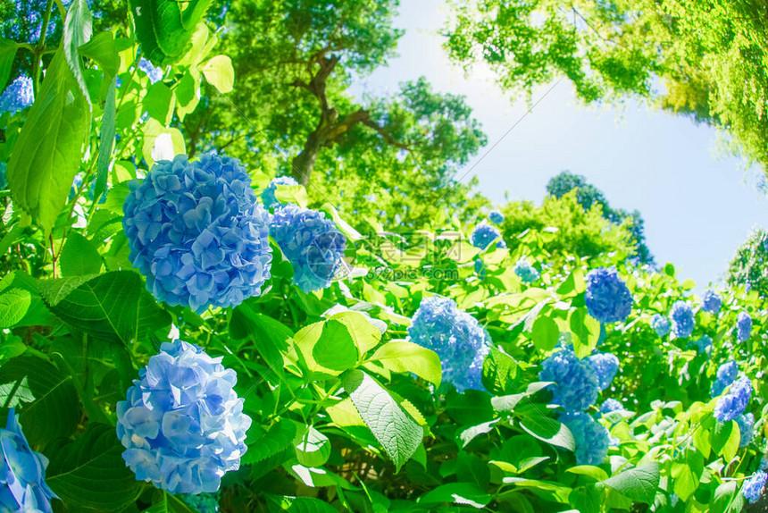逆战未来塔防脚本最新版下载：揭秘无敌秘籍，游戏立即掌控！