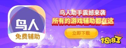 鸟人辅助脚本官网