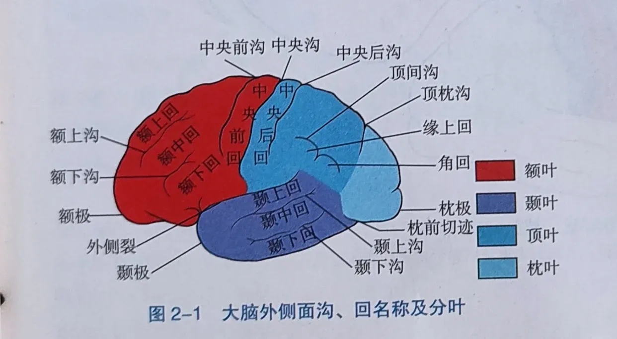 帕斯卡契约皮肤解锁方法全解析